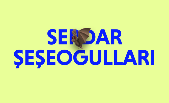 Portfolio of Serdar Sese