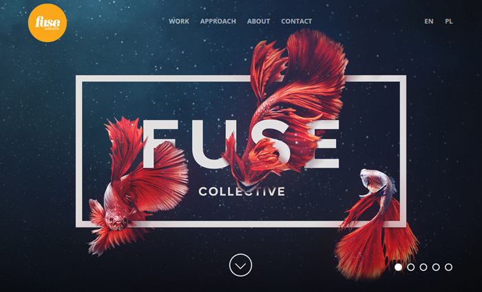 Fuse Collective