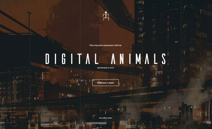 Digital Animals