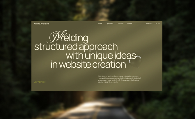 Karina Andreadi — Portfolio