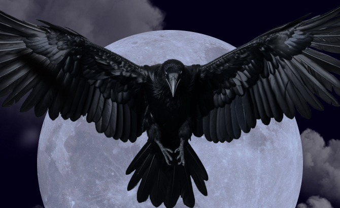Ravens Secrets