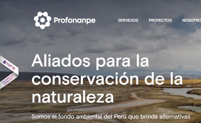 PROFONANPE ASOCIACION