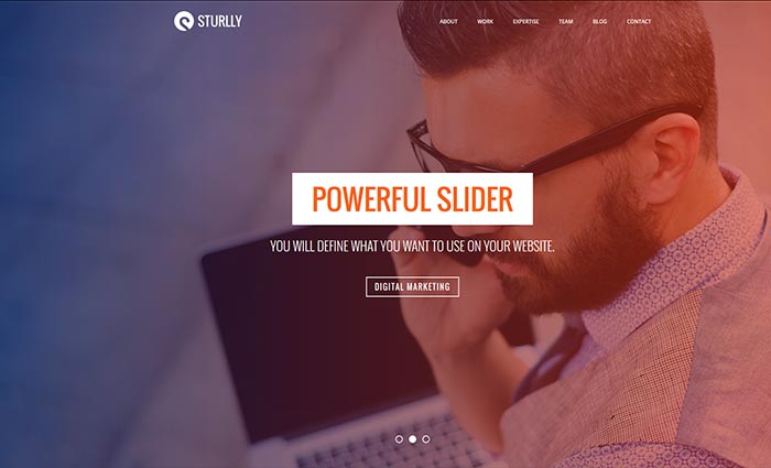 Sturlly | Responsive One Page Multi-Purpose Template