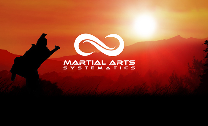 Martial Arts Systematics