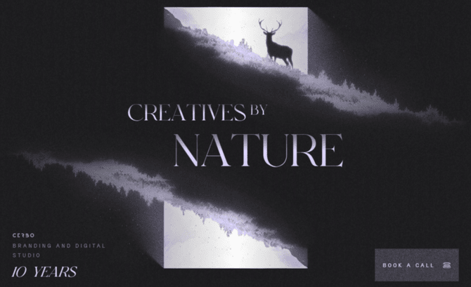 Cerbo Branding & Digital Studio