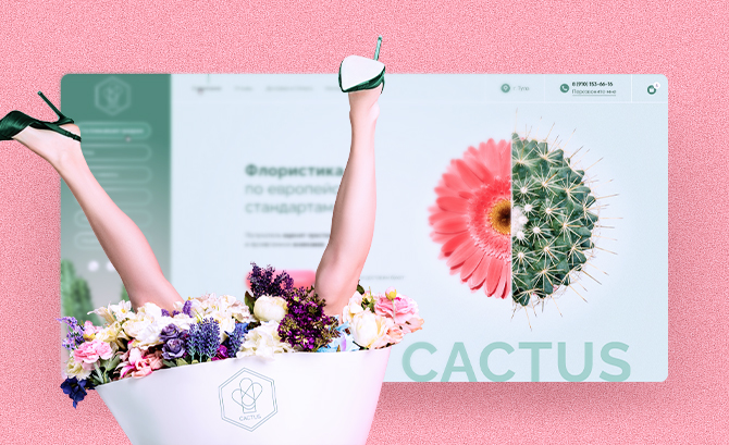 Cactus Shop Online